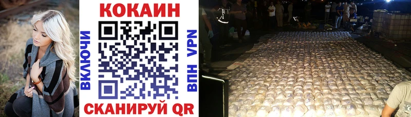 Кокаин FishScale  Купить закладки  Андреаполь 