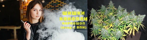 дживик Богородск