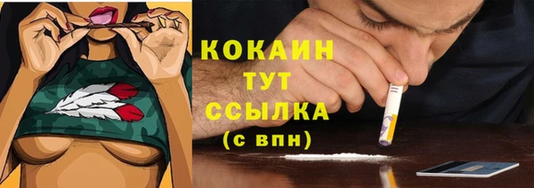 марки lsd Богородицк
