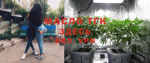 дживик Богородск