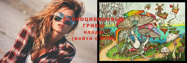 марки lsd Богородицк