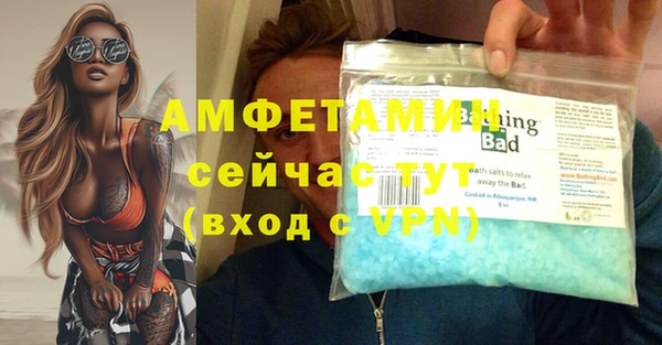 дживик Богородск