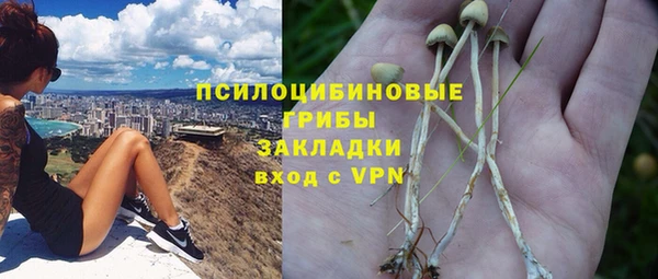 марки lsd Богородицк