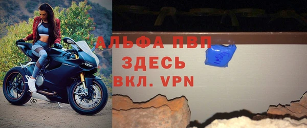 спиды Богданович