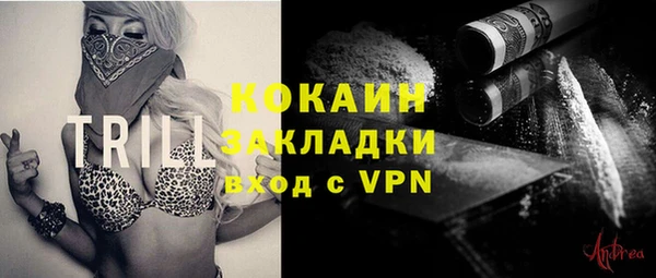 дживик Богородск