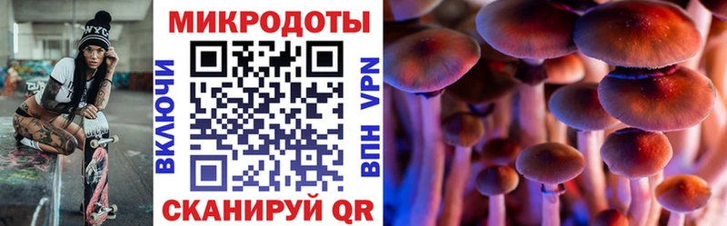 Галлюциногенные грибы мухоморы  Купить  Андреаполь 